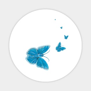 Chapman's blue butterflies flying Magnet